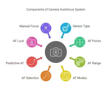 Components of Camera Autofocus System