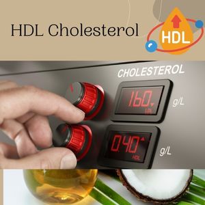 HDL Cholesterol