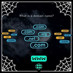 What is Domain?