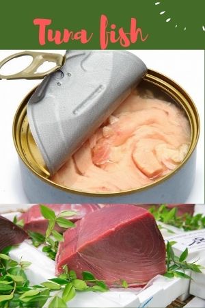 Canned Tuna Fish