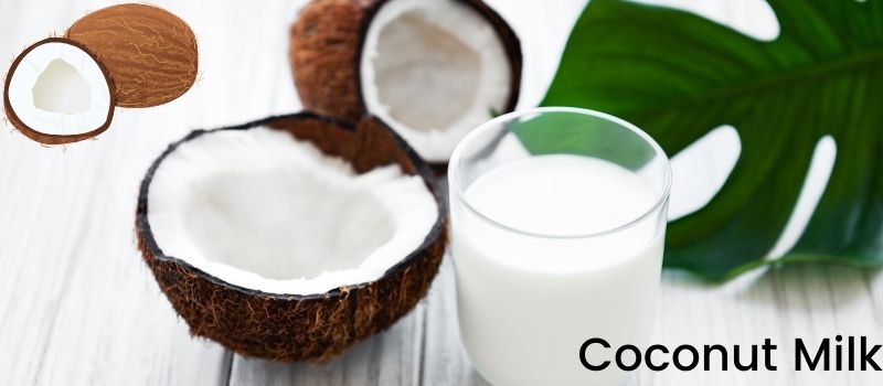 Coconut Milk