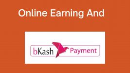 Online Earning Site BD Payment Bkash