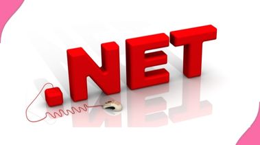 .net Domain